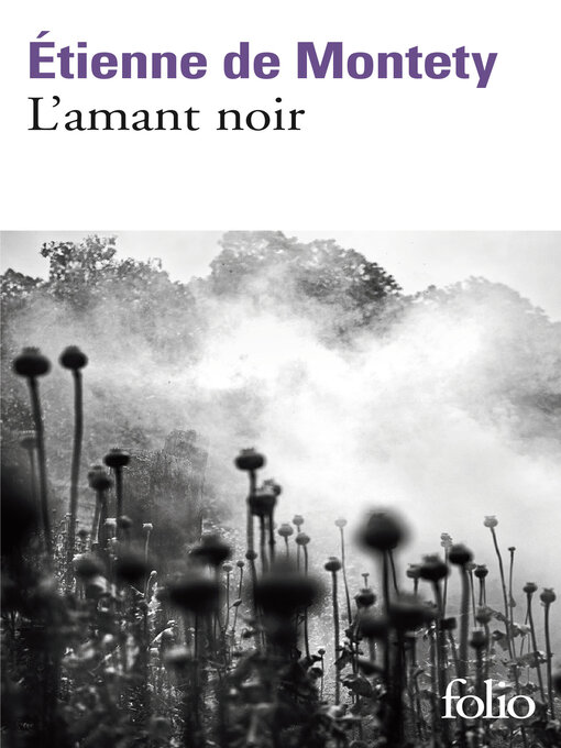 Cover image for L'amant noir